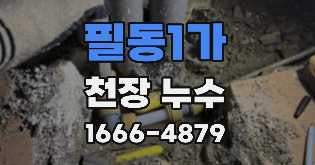 필동1가 천장 누수