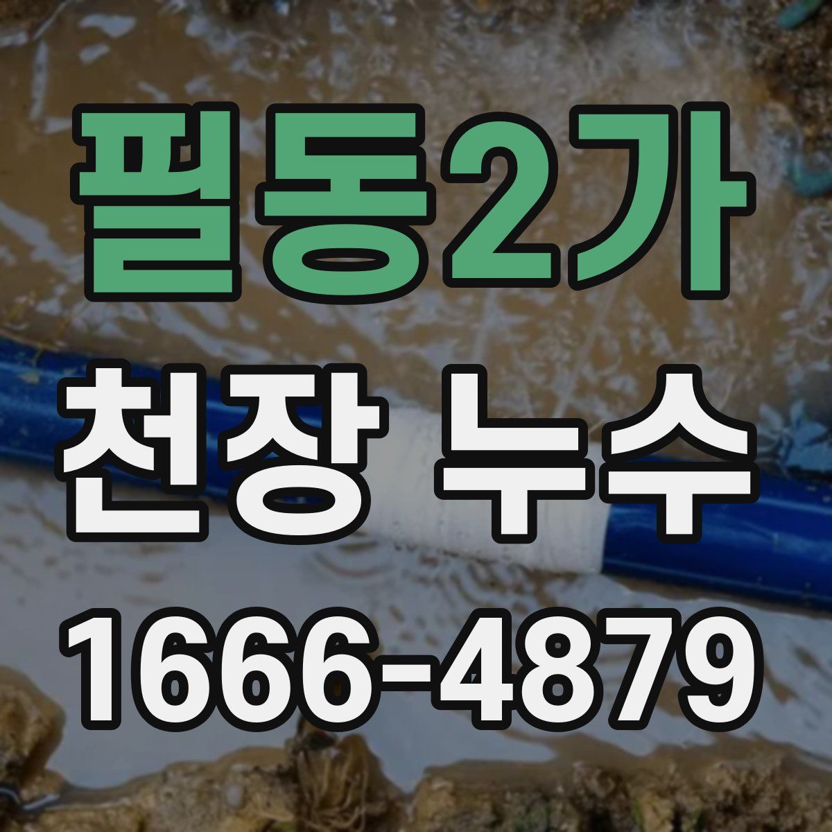 필동2가 천장 누수