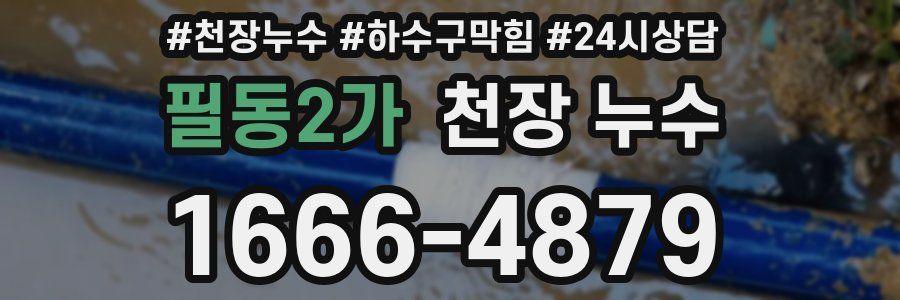필동2가 천장 누수