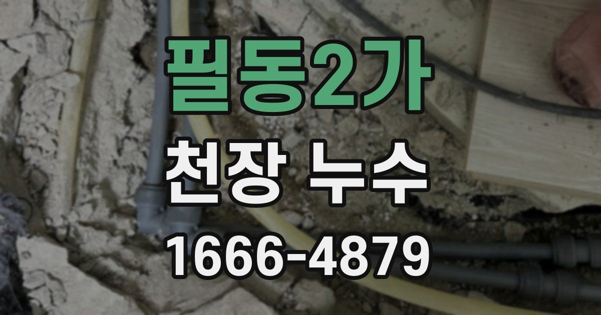필동2가 천장 누수