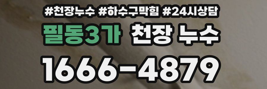 필동3가 천장 누수