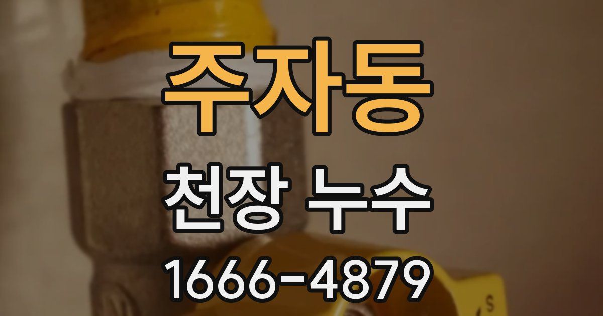 주자동 천장 누수