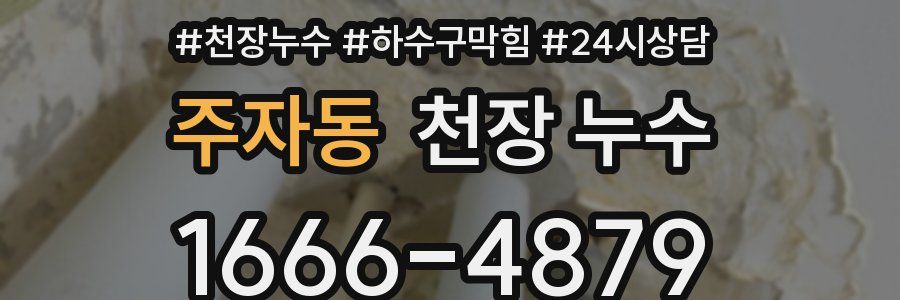 주자동 천장 누수