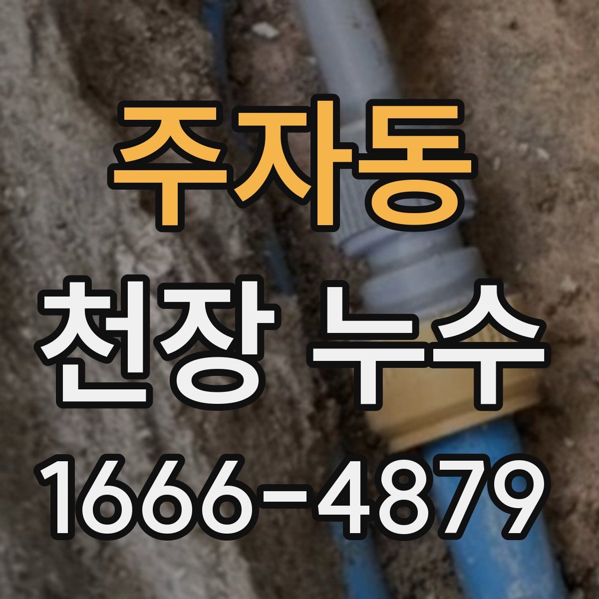 주자동 천장 누수