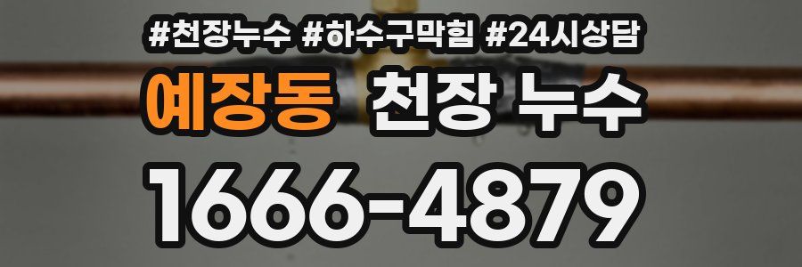 예장동 천장 누수