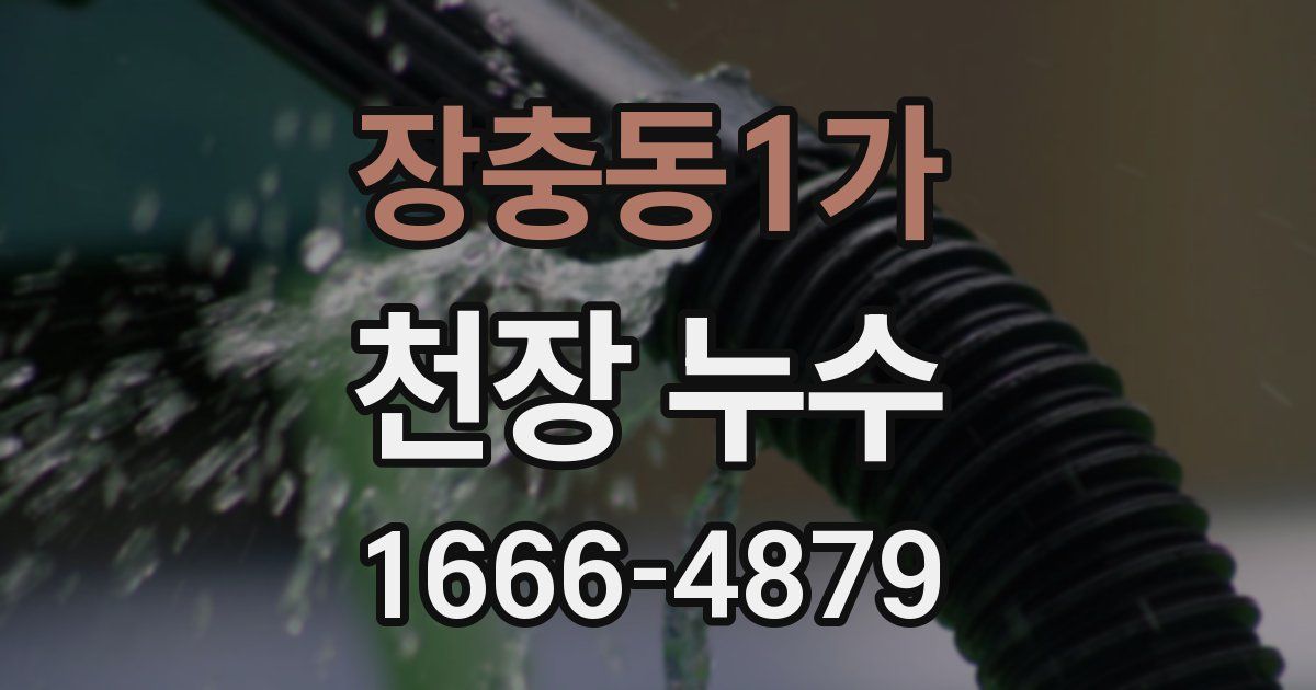 장충동1가 천장 누수