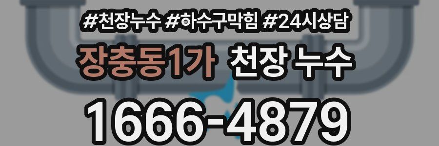 장충동1가 천장 누수