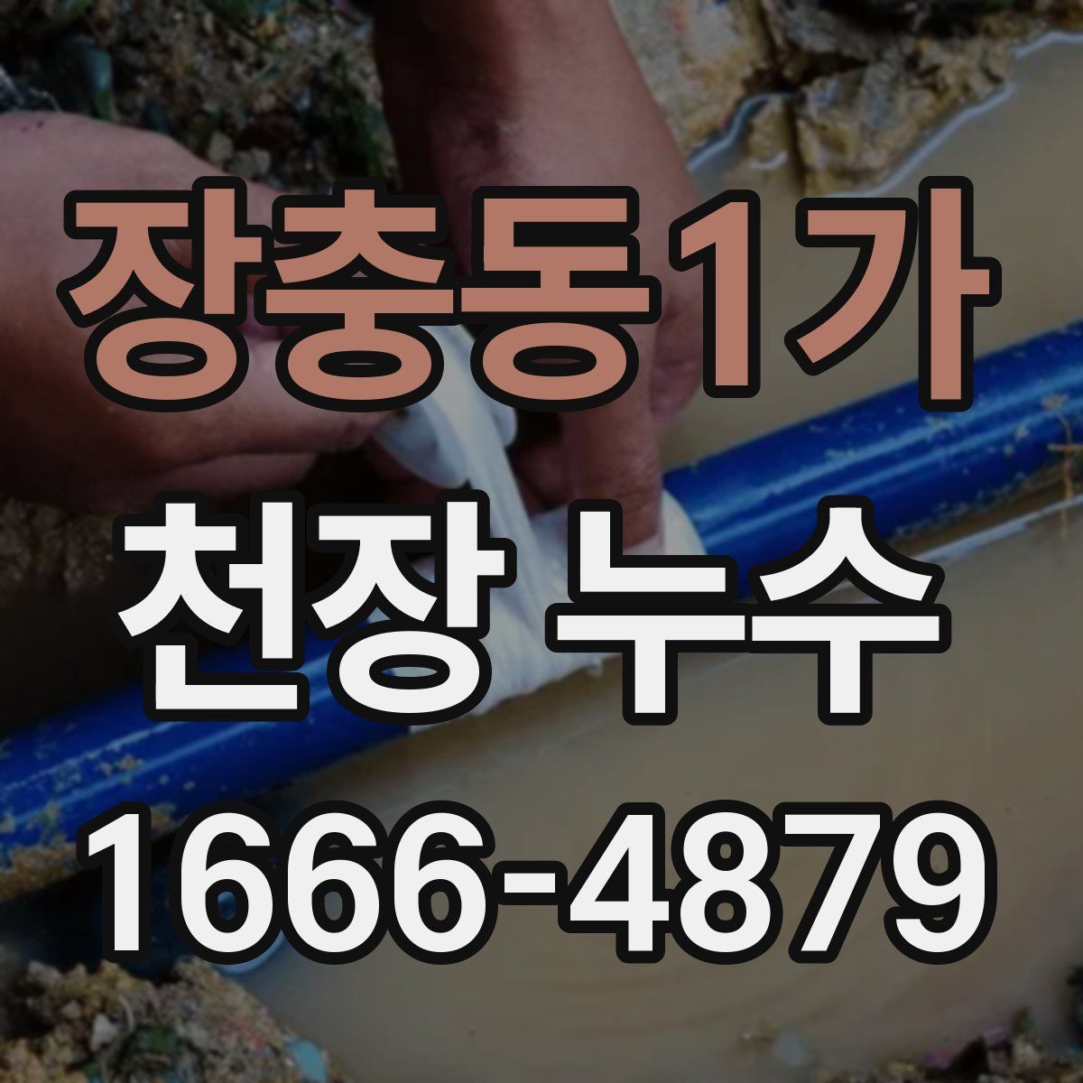 장충동1가 천장 누수