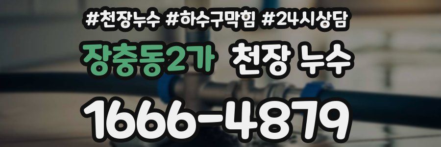 장충동2가 천장 누수