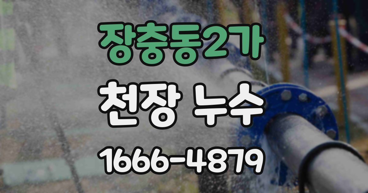 장충동2가 천장 누수