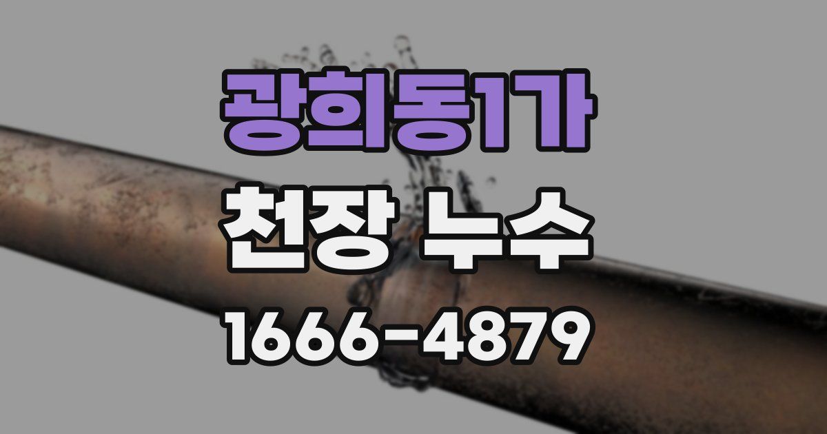 광희동1가 천장 누수