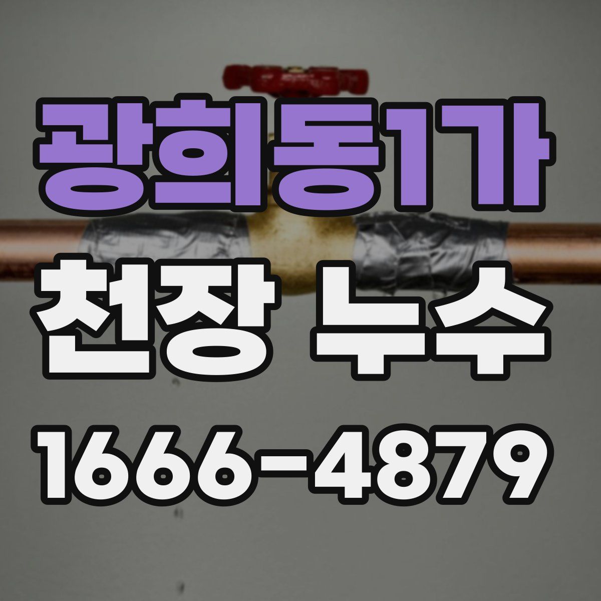 광희동1가 천장 누수