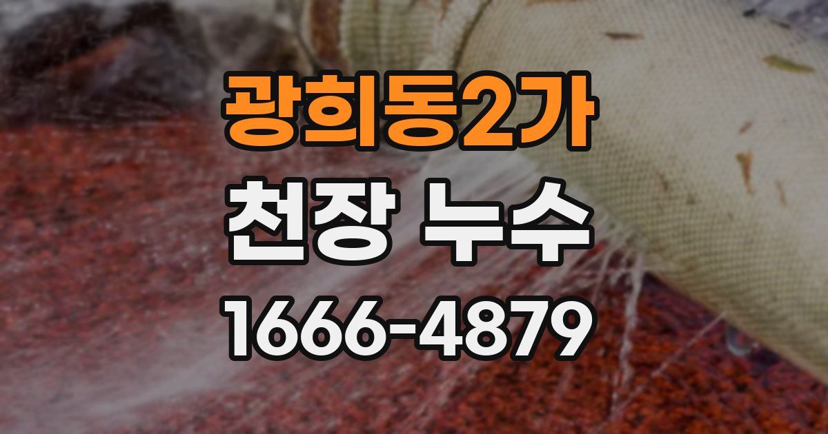 광희동2가 천장 누수