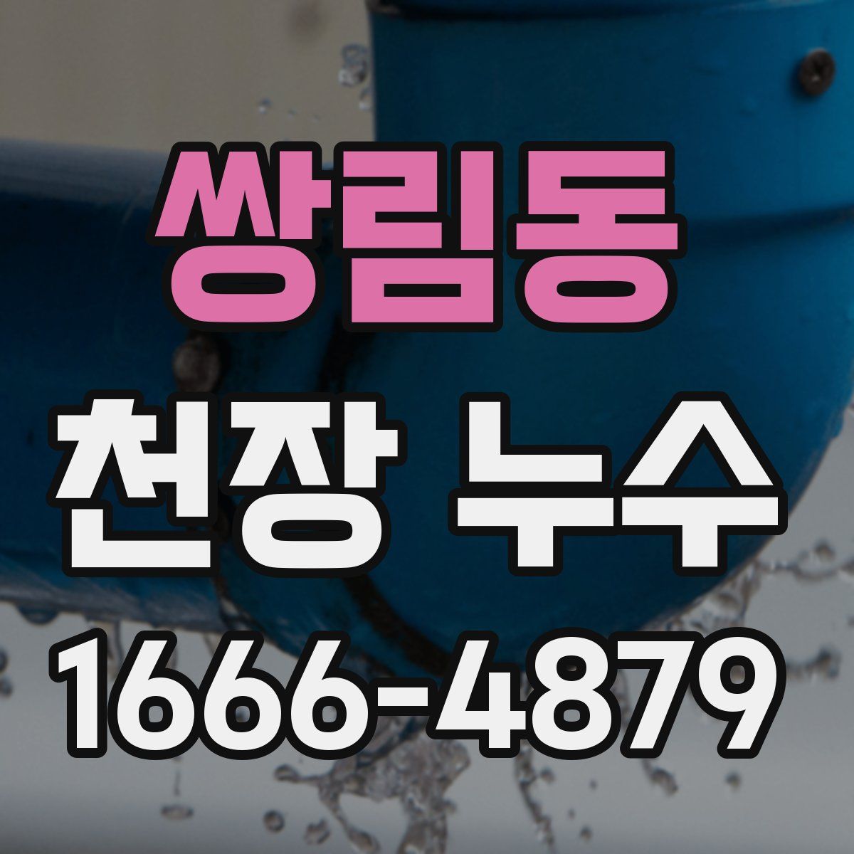 쌍림동 천장 누수