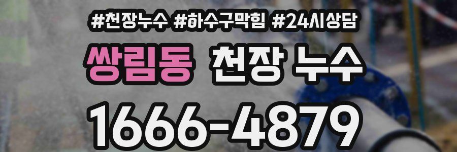 쌍림동 천장 누수