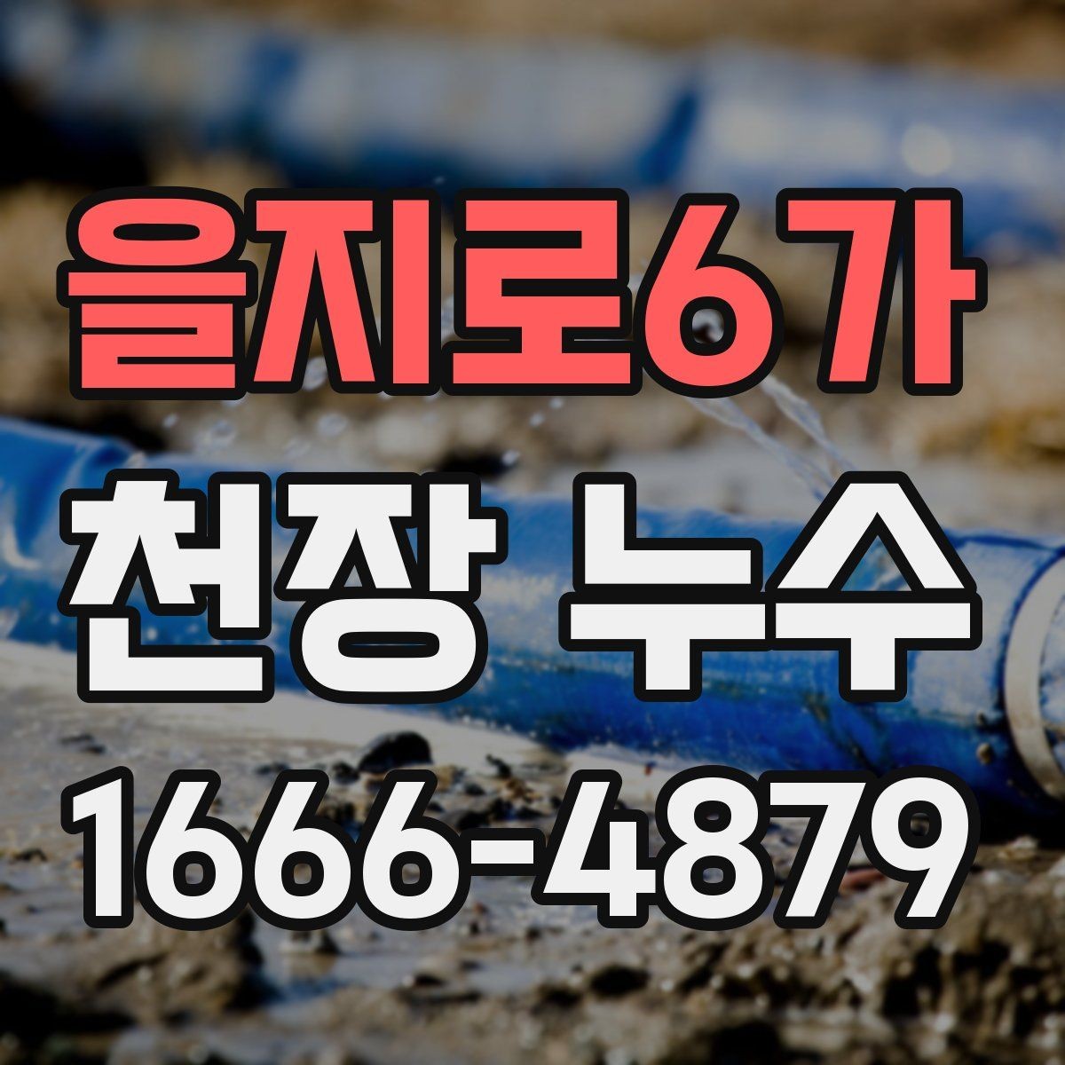 을지로6가 천장 누수 스프링클러 주변이 축축하면 점검 포인트
