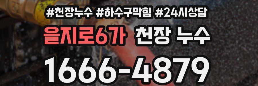 을지로6가 천장 누수