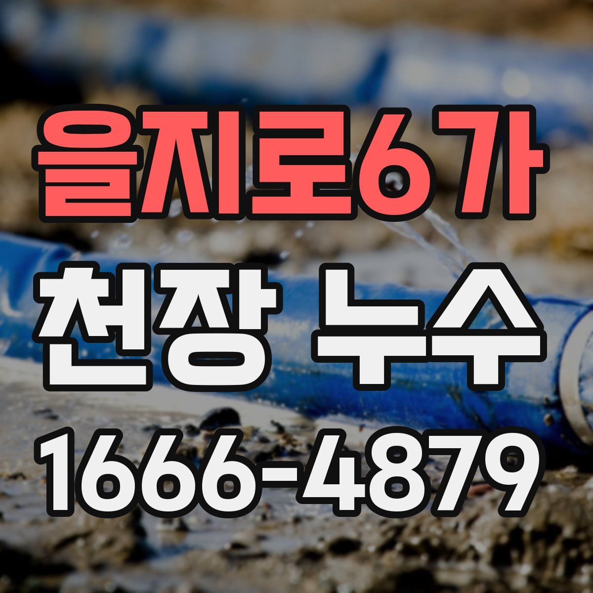 을지로6가 천장 누수