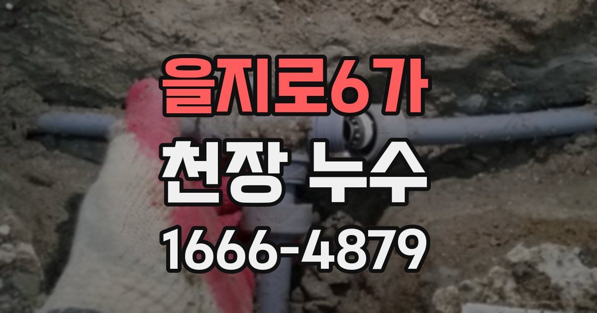 을지로6가 천장 누수