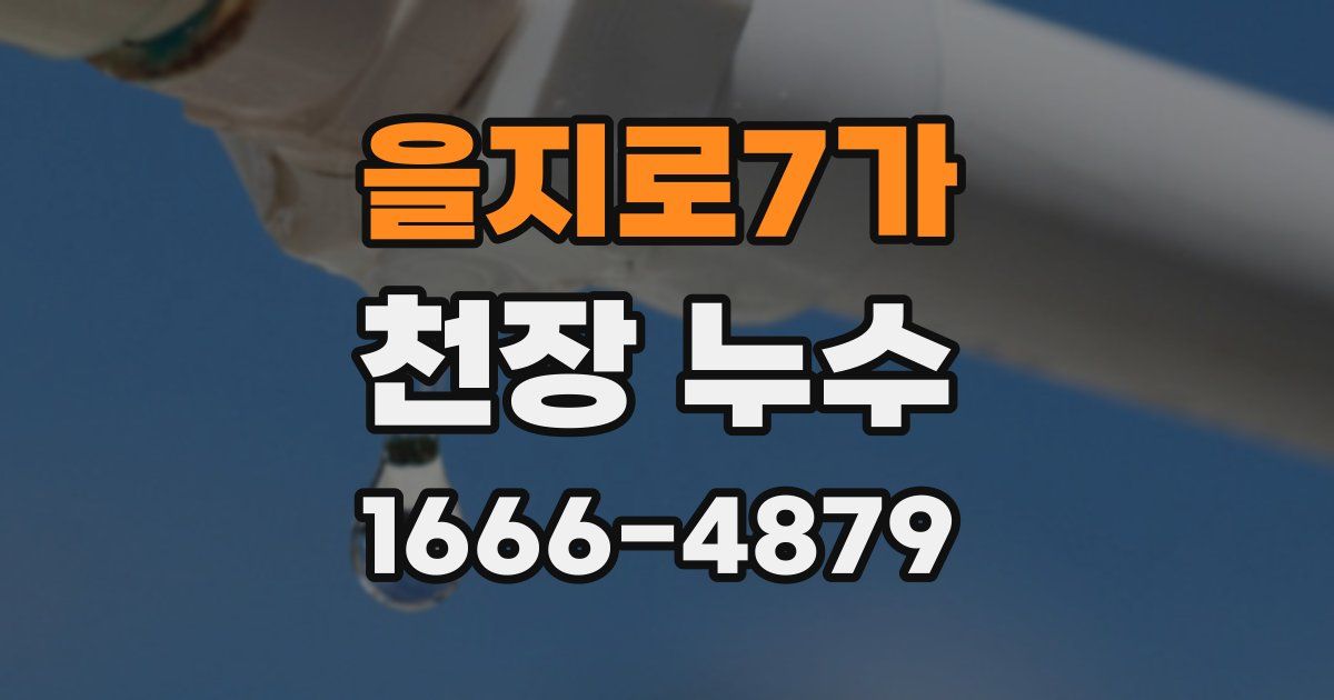 을지로7가 천장 누수