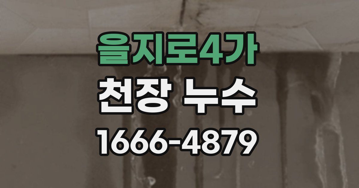을지로4가 천장 누수
