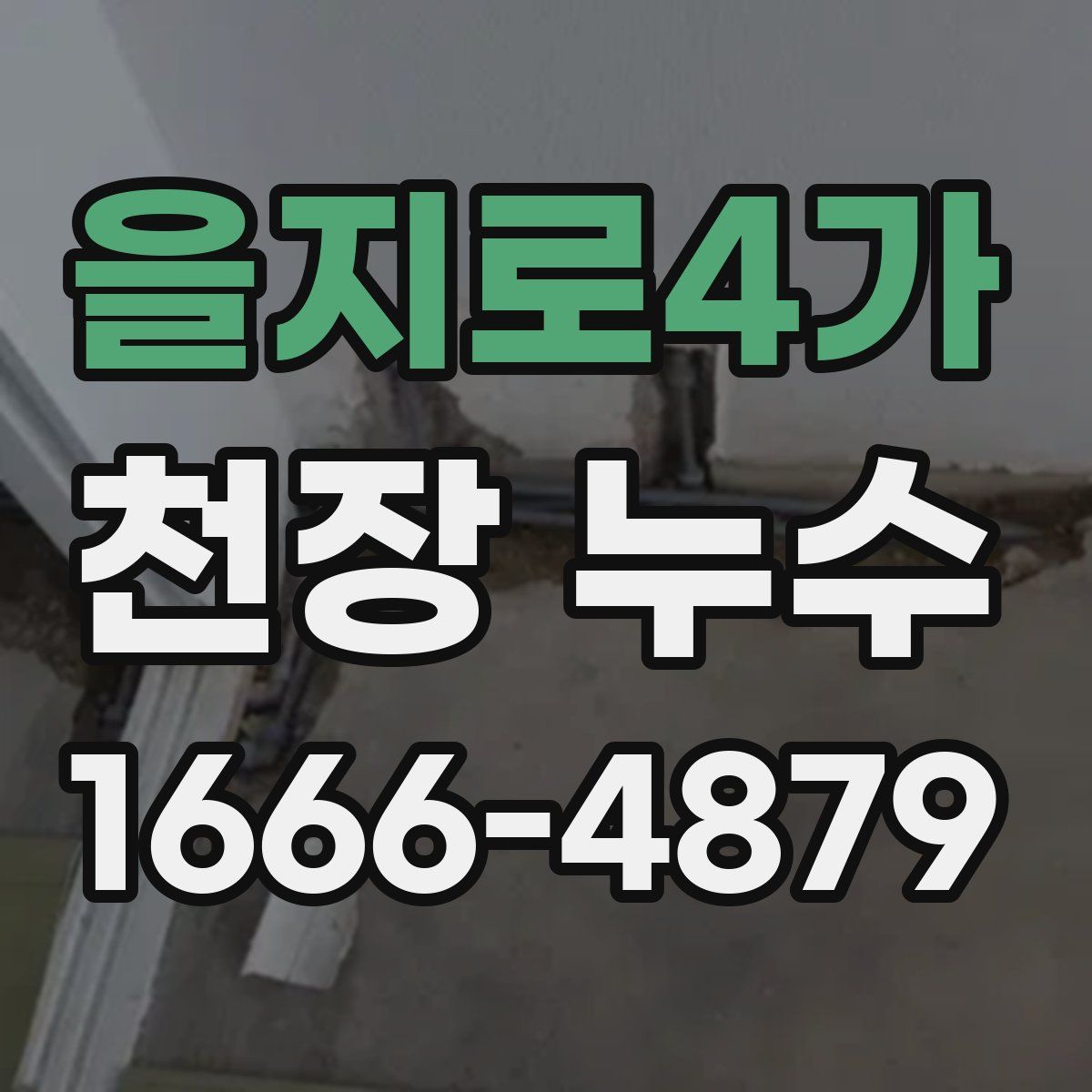을지로4가 천장 누수