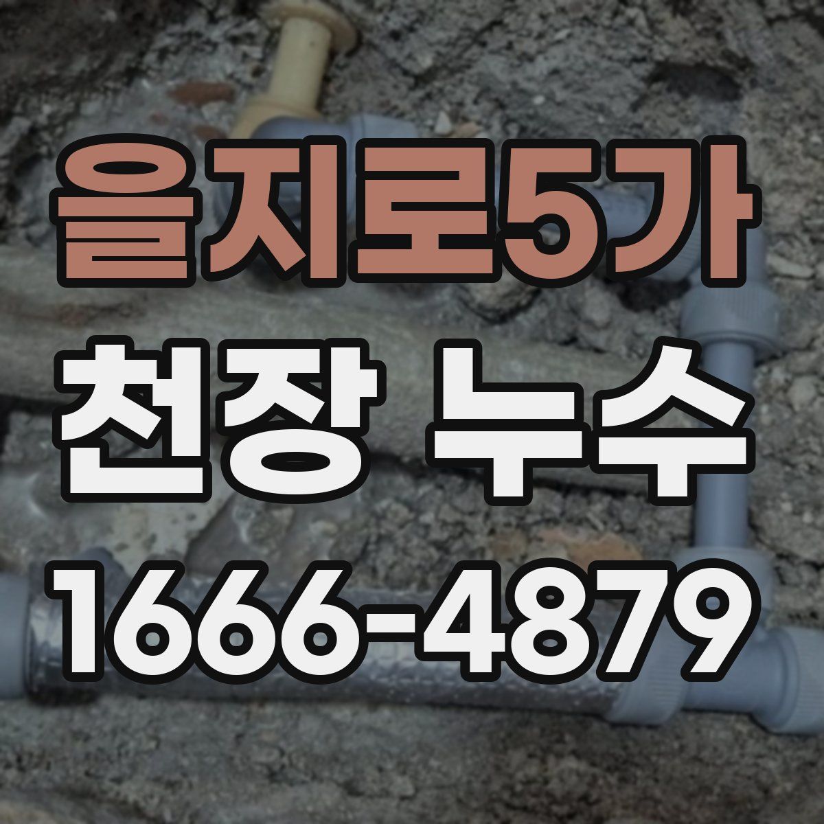 을지로5가 천장 누수