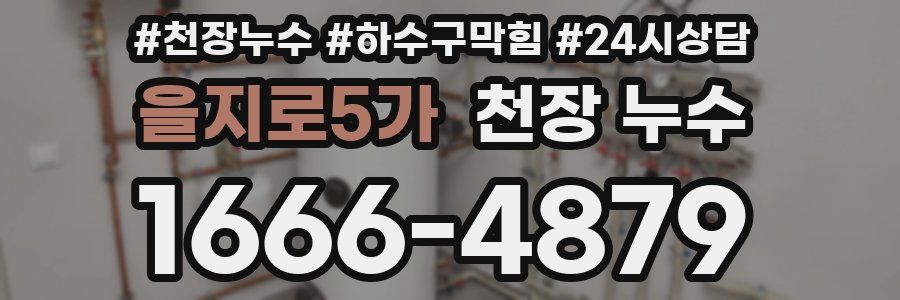 을지로5가 천장 누수