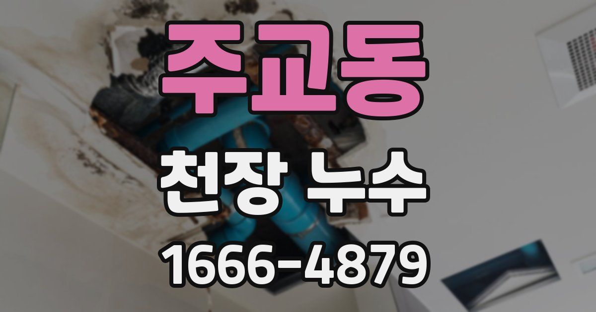 주교동 천장 누수