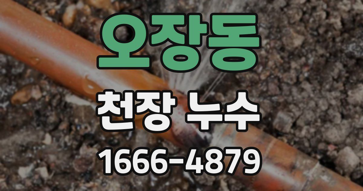 오장동 천장 누수