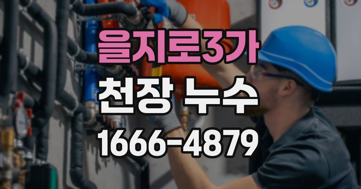 을지로3가 천장 누수