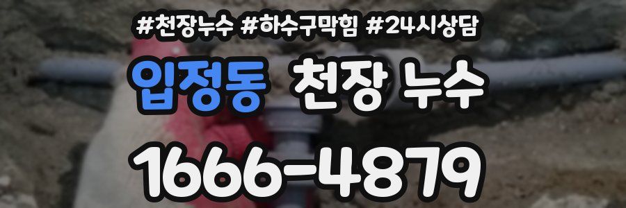 입정동 천장 누수