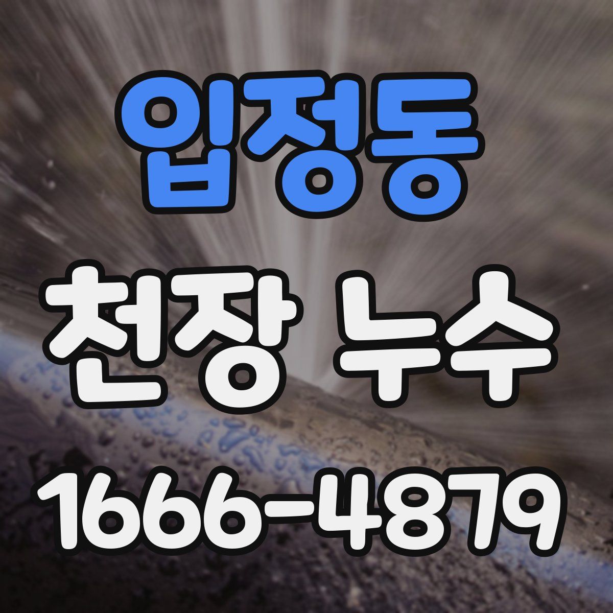 입정동 천장 누수