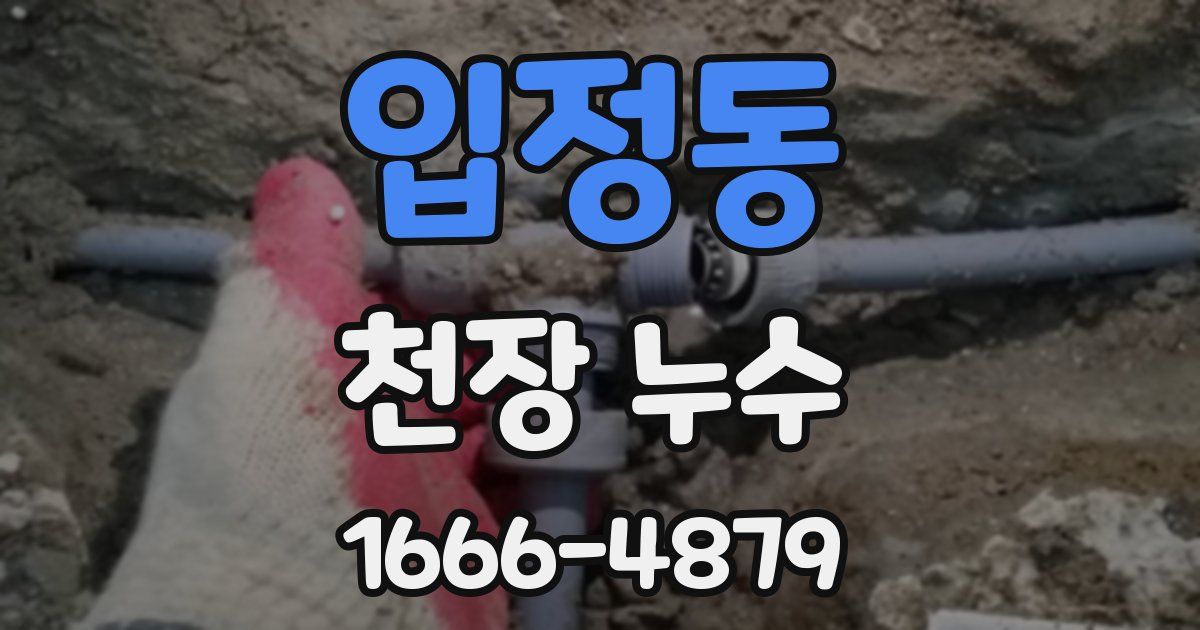 입정동 천장 누수