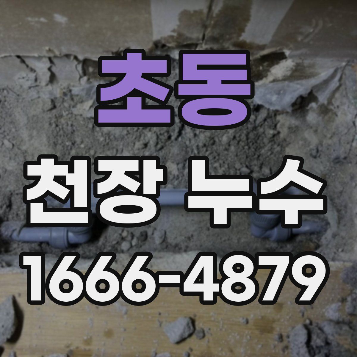 초동 천장 누수