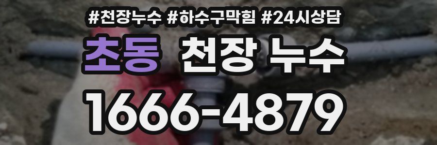 초동 천장 누수