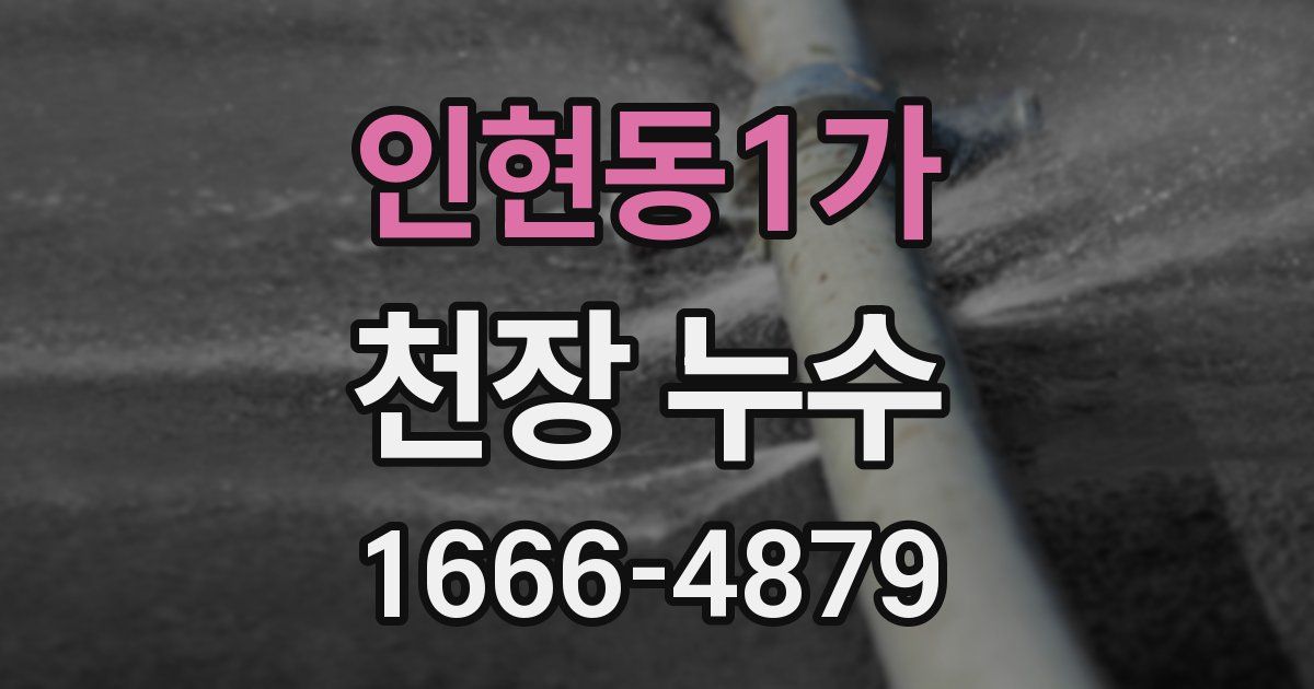 인현동1가 천장 누수