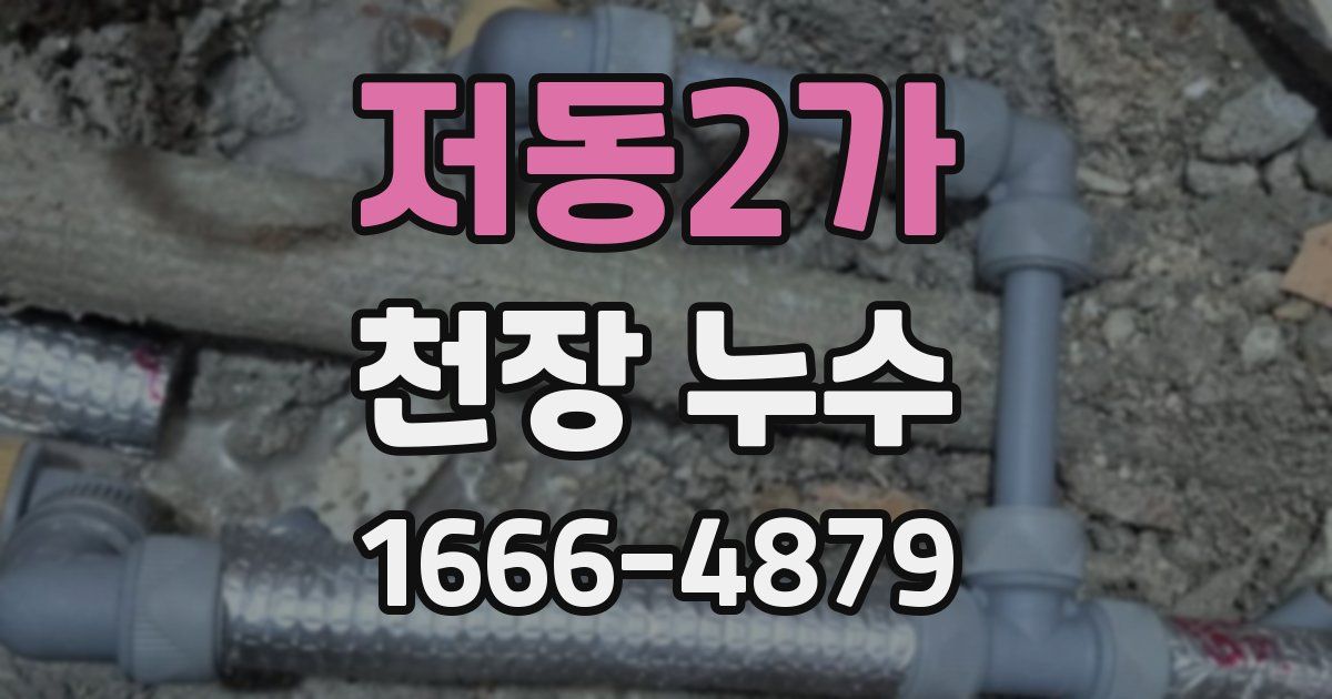 저동2가 천장 누수