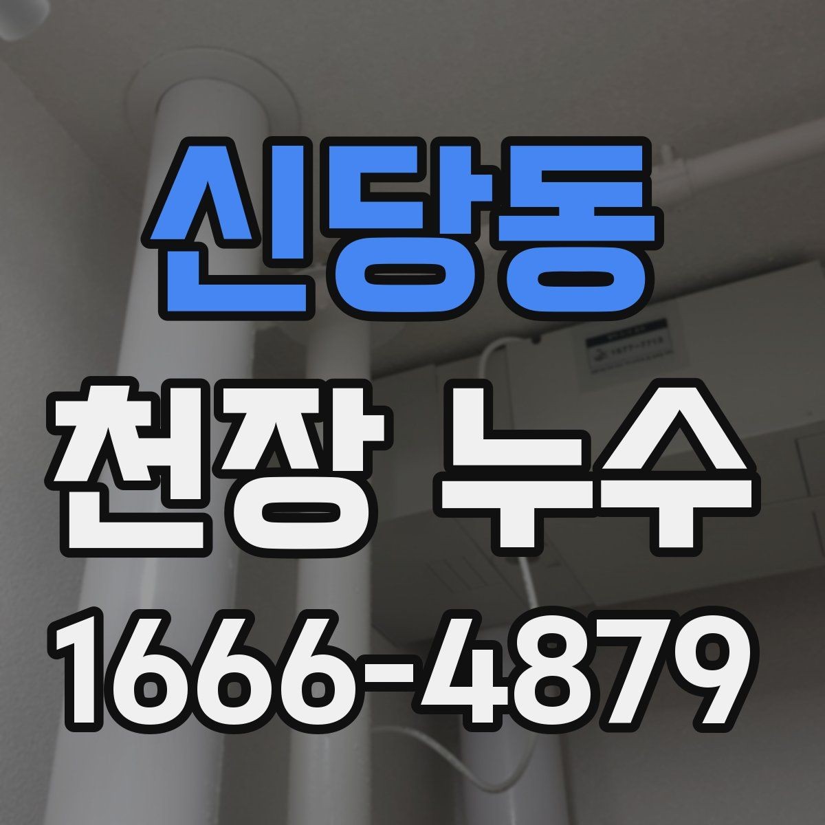 신당동 천장 누수 바닥까지 물이 떨어지기 전