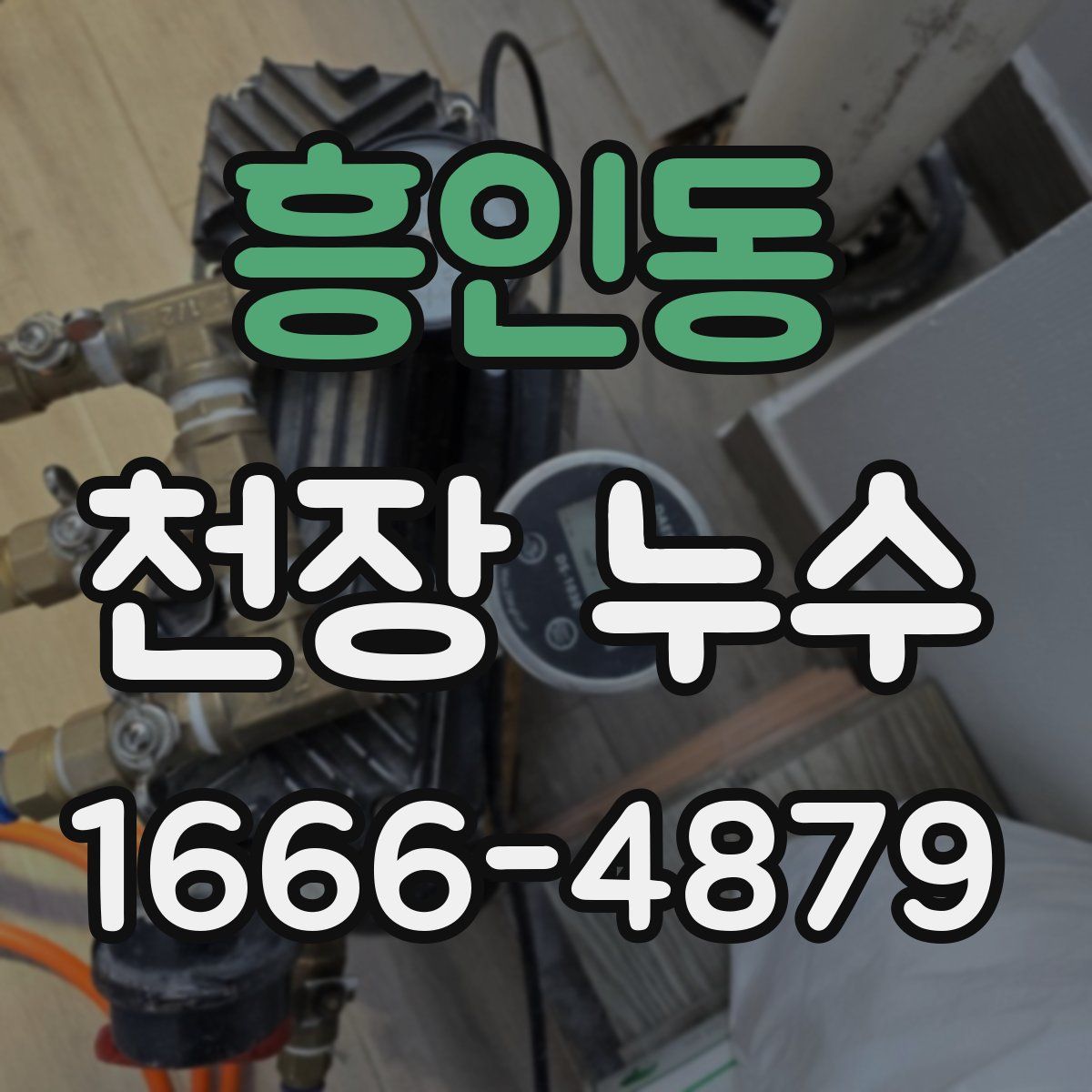 흥인동 천장 누수