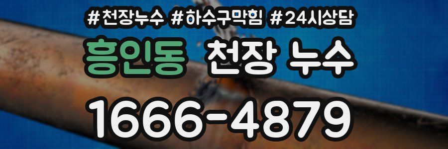 흥인동 천장 누수