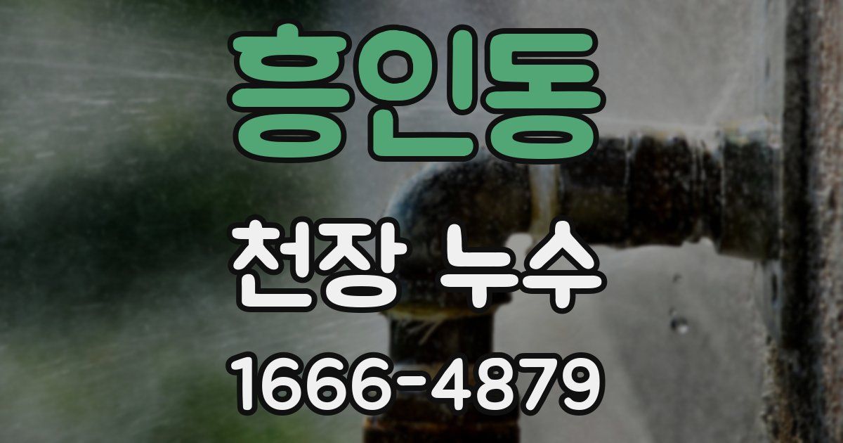 흥인동 천장 누수