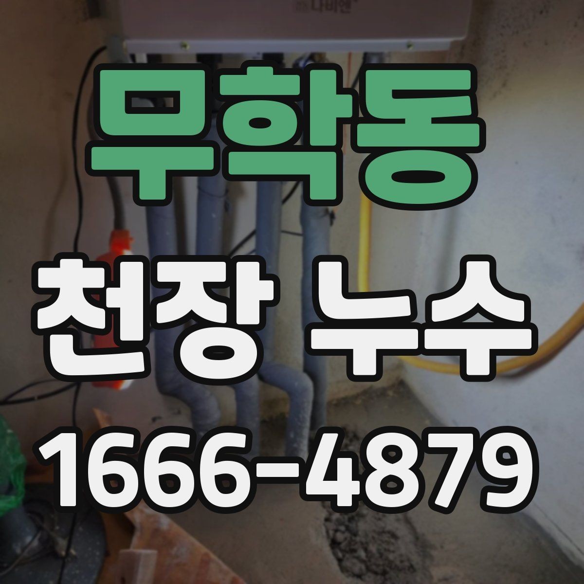 무학동 천장 누수 천장 모서리 곰팡이가 갑자기 늘었다면