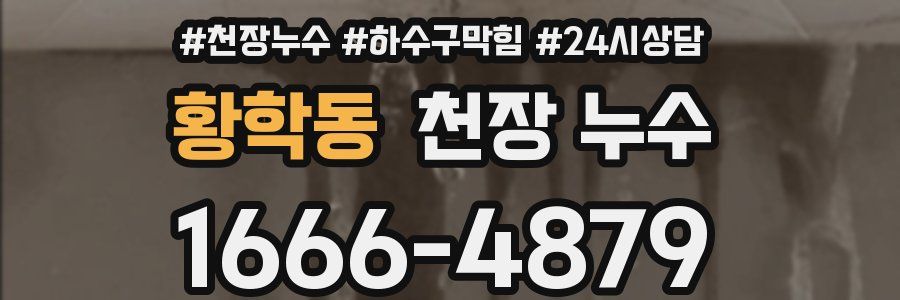 황학동 천장 누수