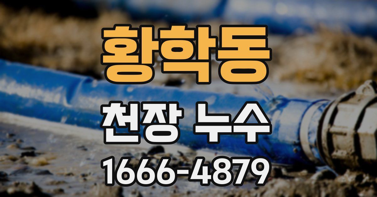 황학동 천장 누수