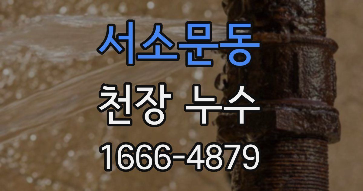 서소문동 천장 누수