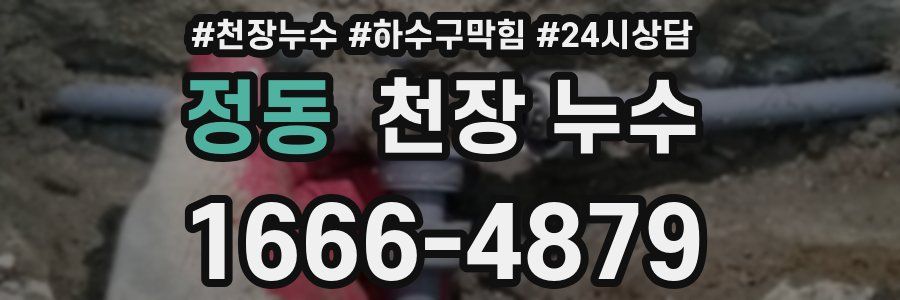 정동 천장 누수