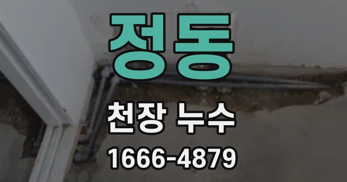 정동 천장 누수