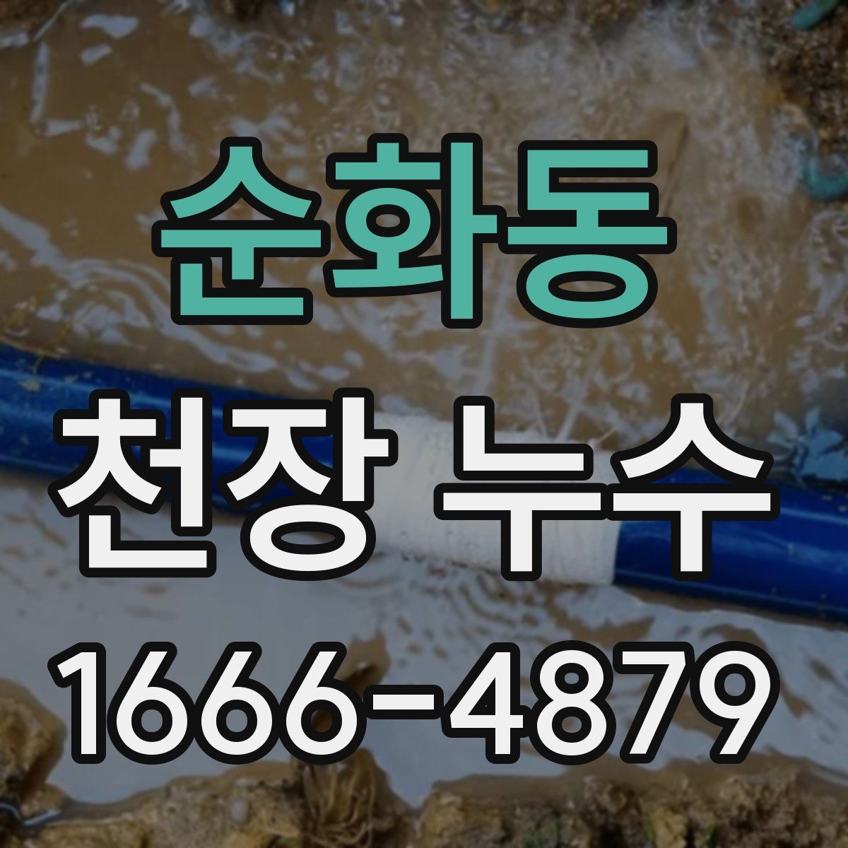 순화동 천장 누수 해결 후 곰팡이가 남는 이유