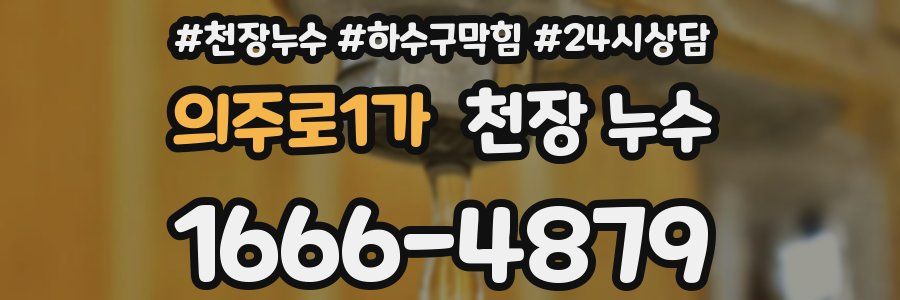 의주로1가 천장 누수